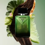 Prada Paradigme Eau De Parfum 100ml bottle with wood and green leaves